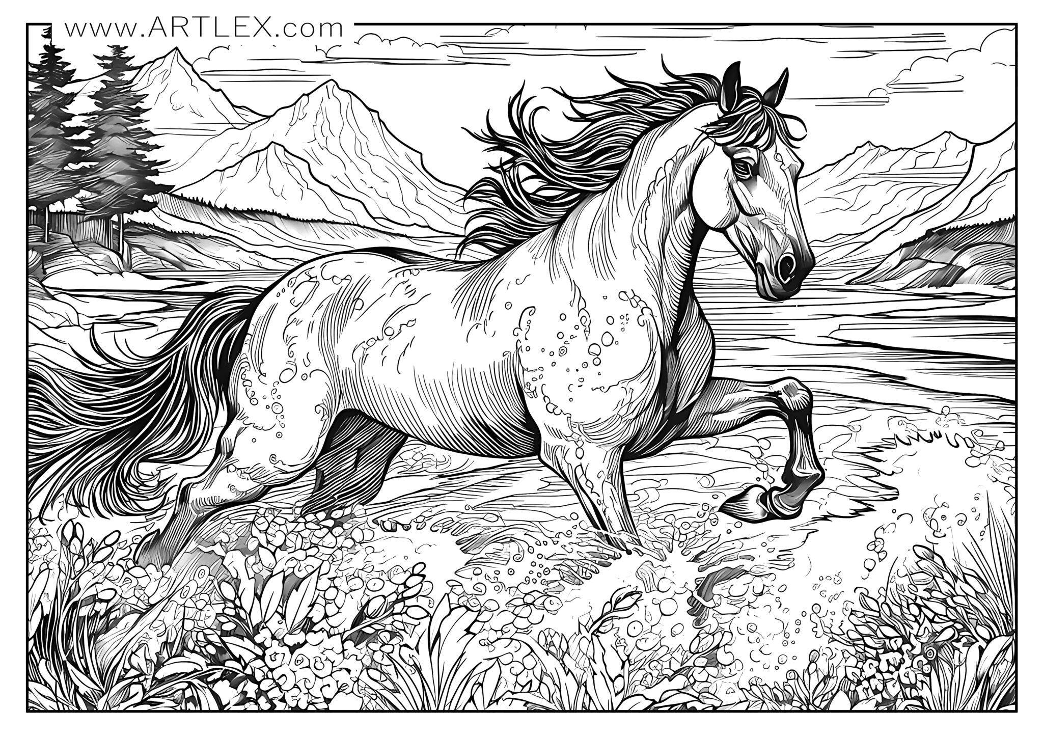 free coloring pages for horses