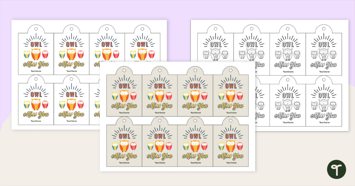 144 Owl Miss You Themed Teacher Reward Stickers Large Sticker 