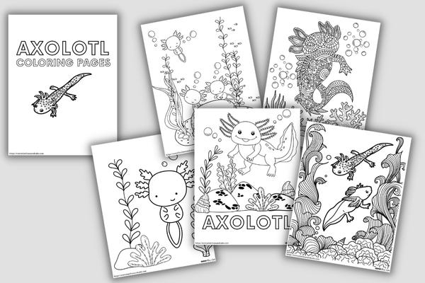 17 Axolotl Color Pages KirstinTanai