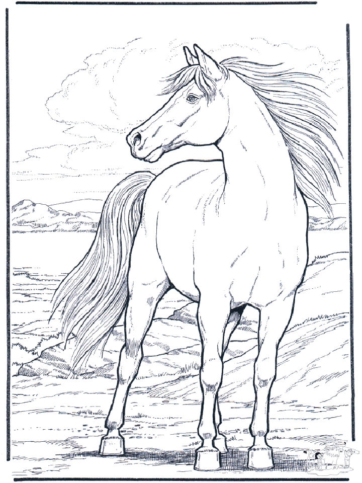 horse coloring pages free