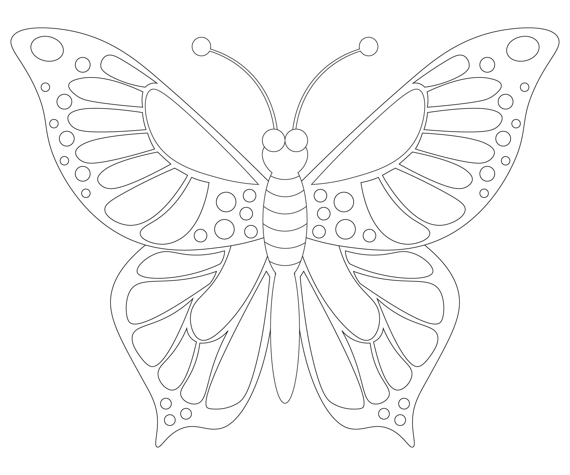 printable insect pictures