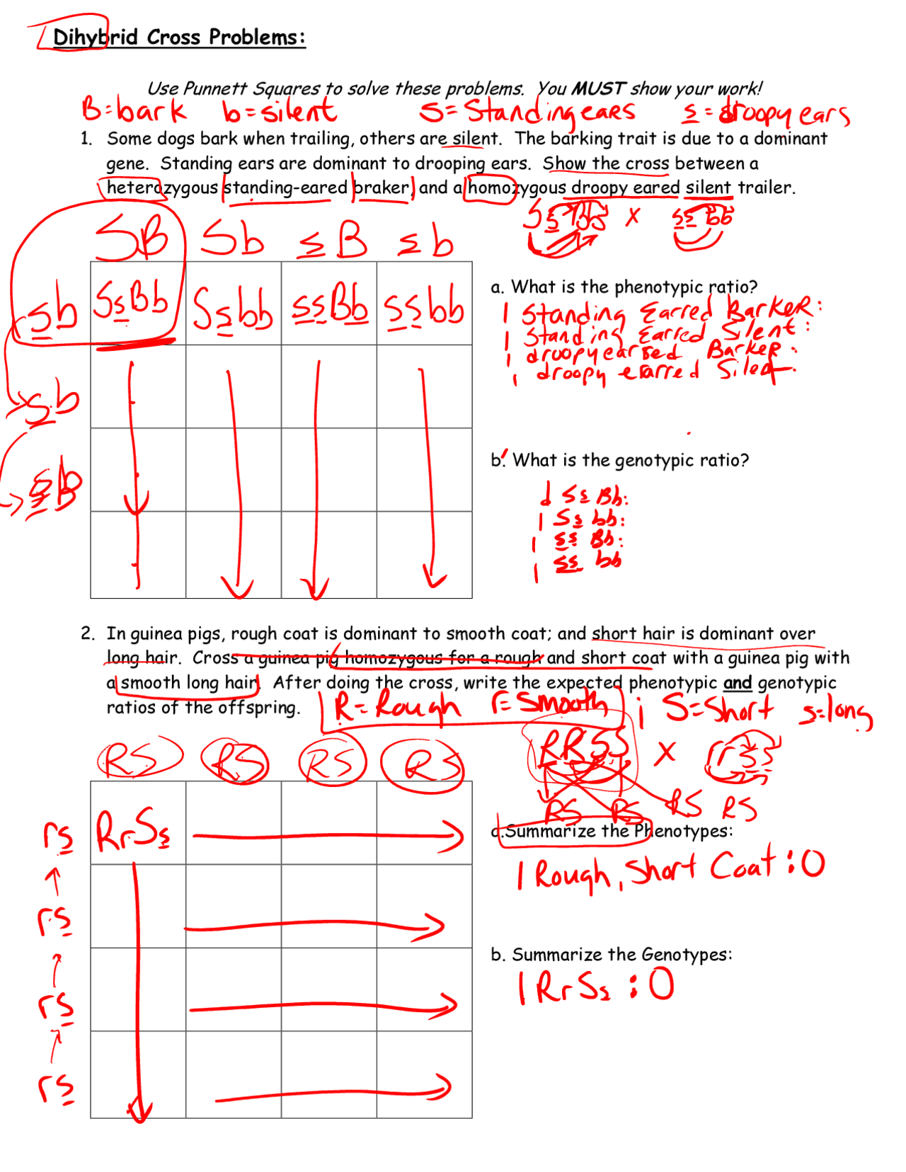 48 Chapter 10 Dihybrid Cross Worksheet Answer Key CaileyEyla