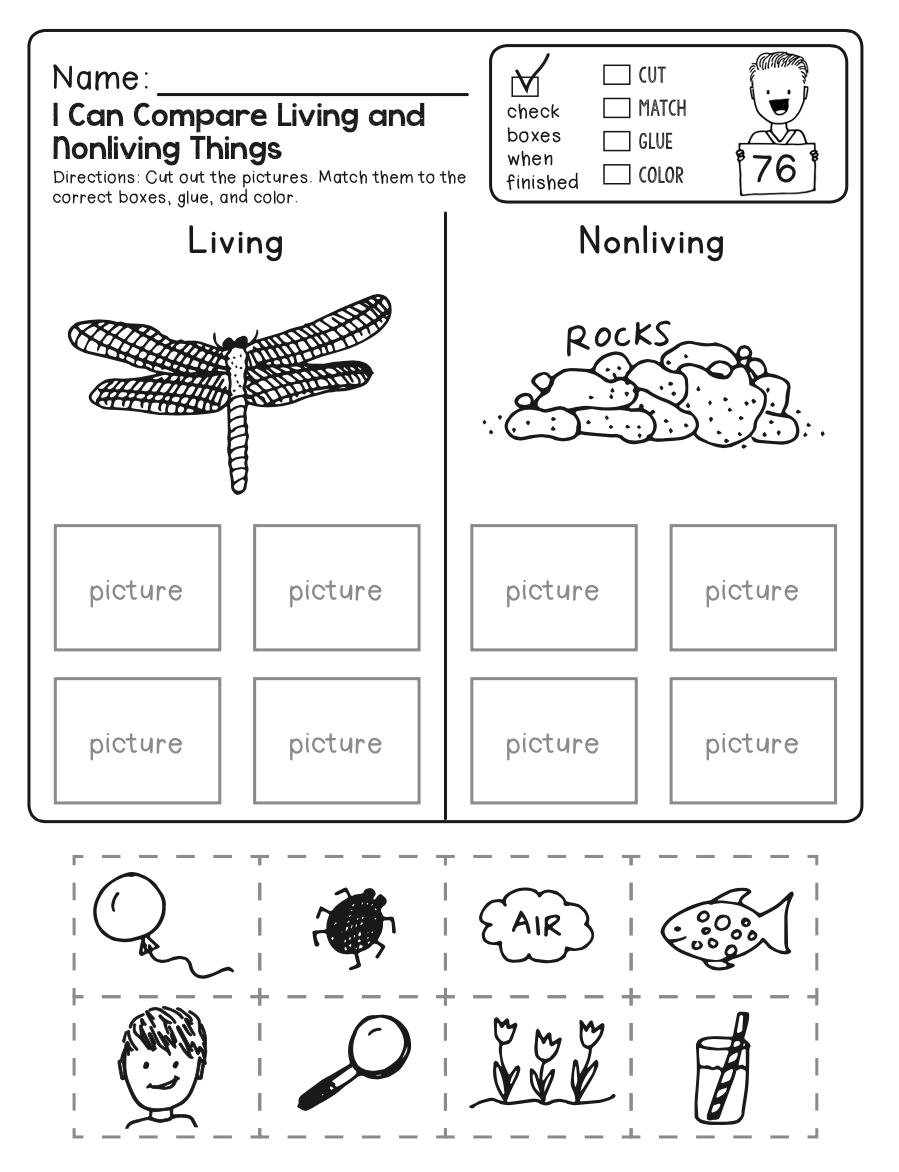 4th grade science worksheets free