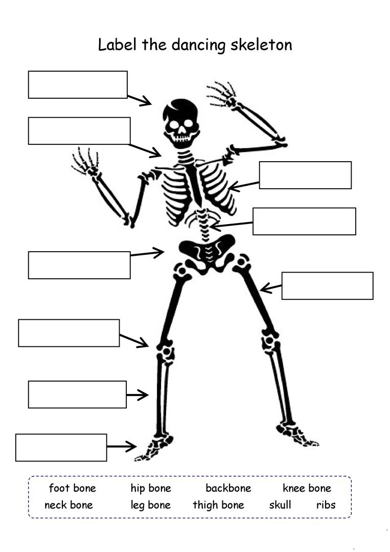 4th Grade Worksheets Science Scienceworksheets