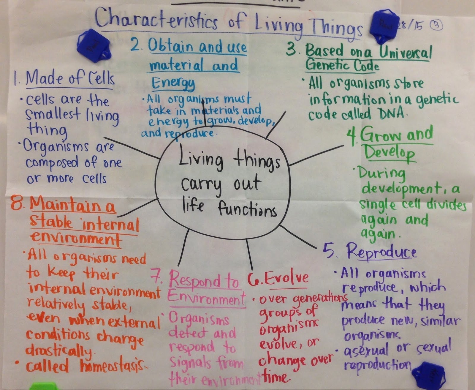 characteristics of life worksheet
