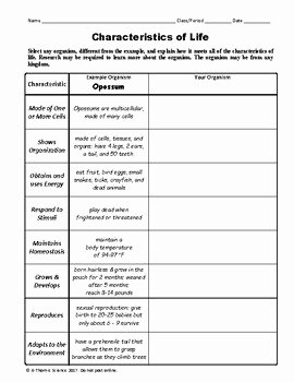 50 Characteristics Of Life Worksheet Answers Chessmuseum Template Library