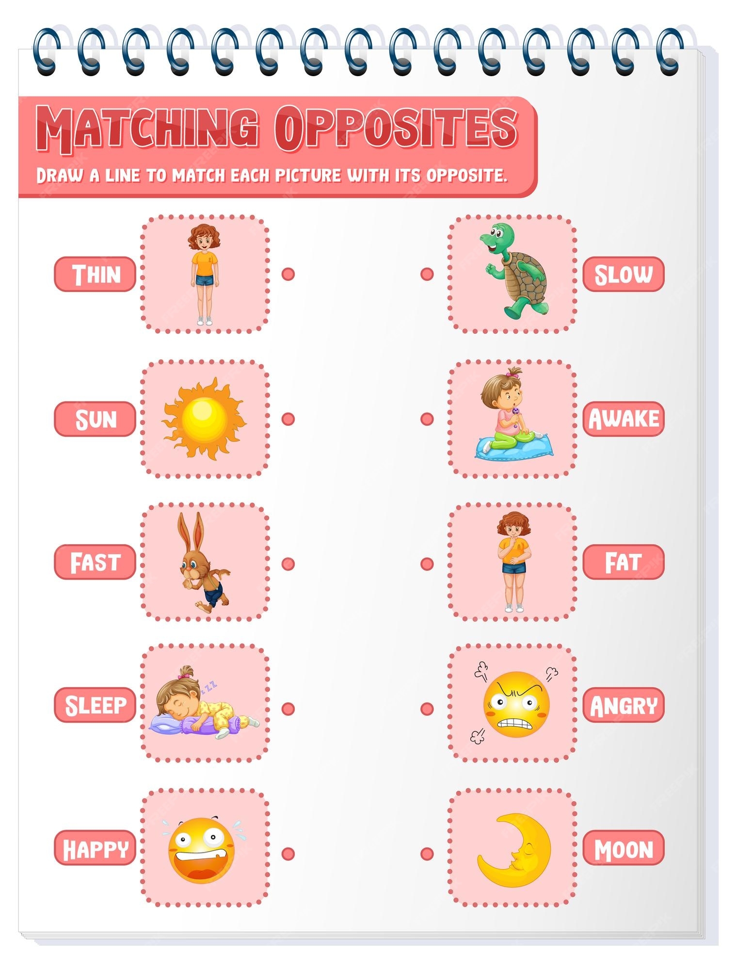 opposites worksheets
