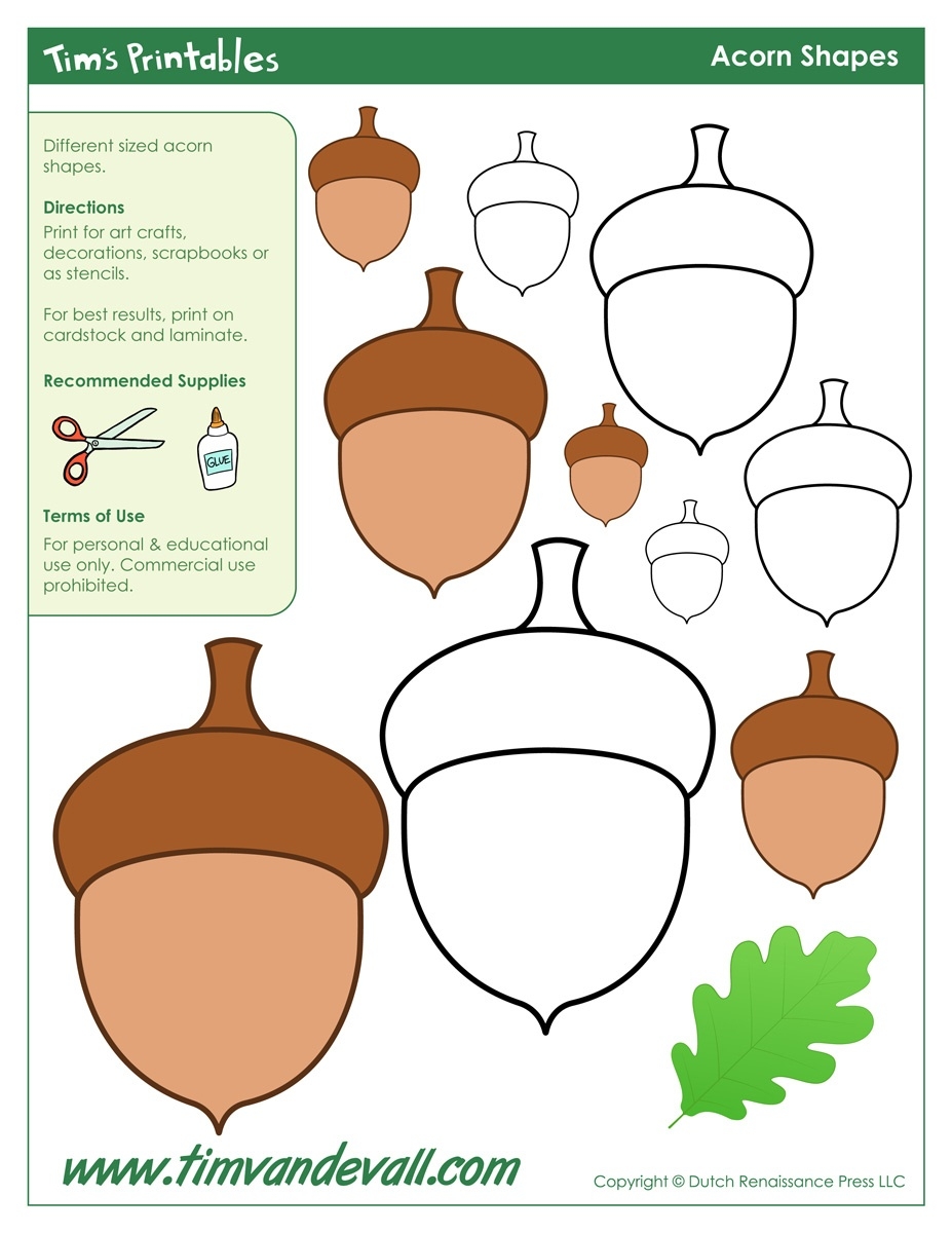 acorn template free printable
