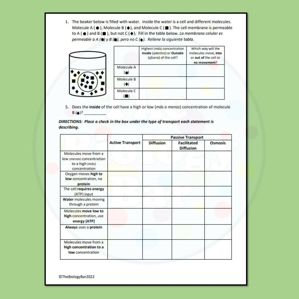 Active Transport Worksheet PDF Resources Biology Worksheets Library