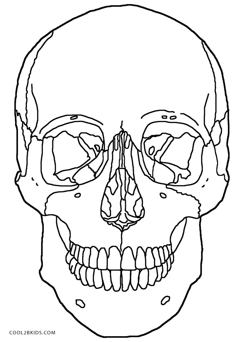 anatomy coloring pages free