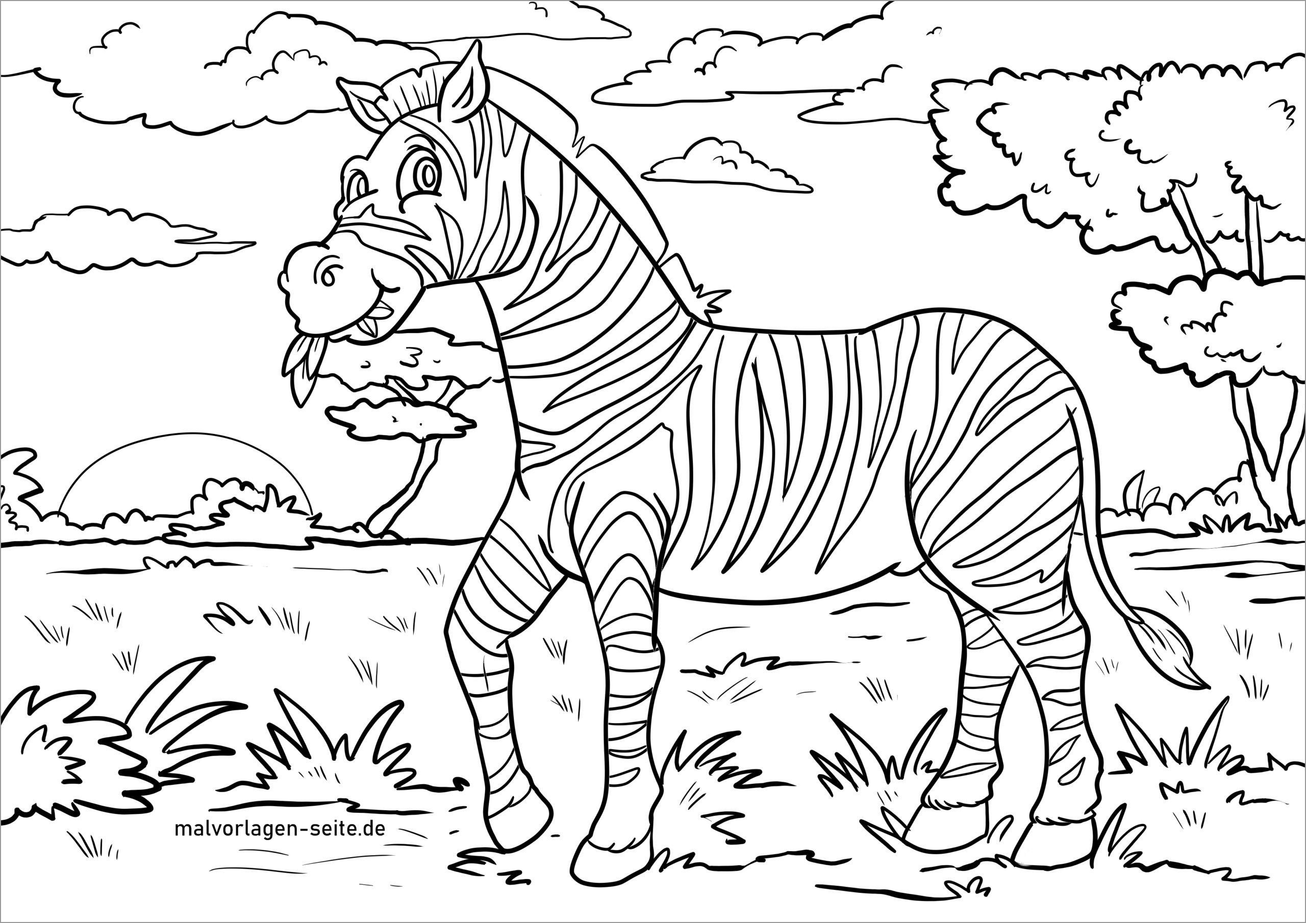 Ausmalbild Zebra Coloring Page ColoringBay
