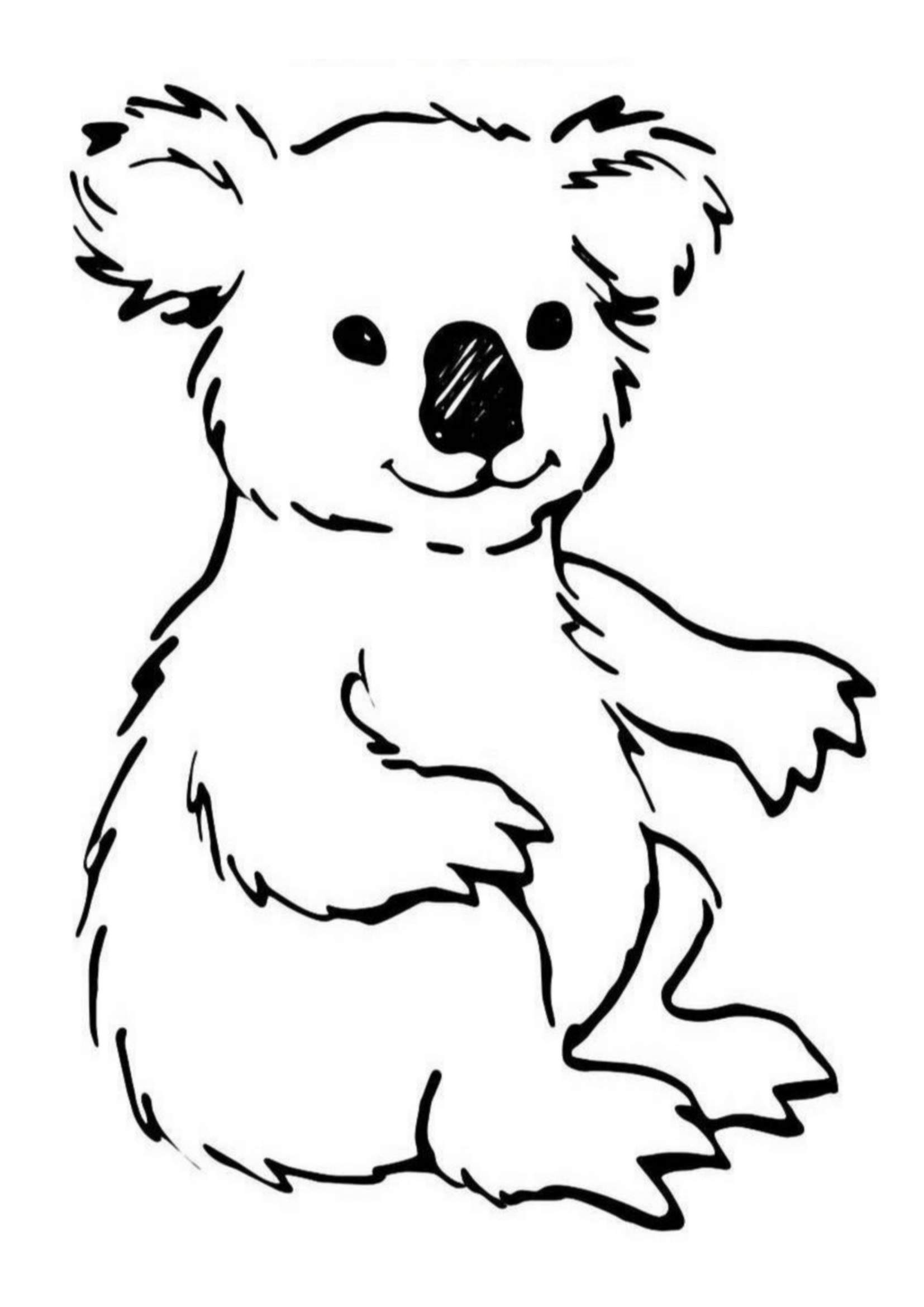 Australia Koala Bear Coloring Page Coloring Pages