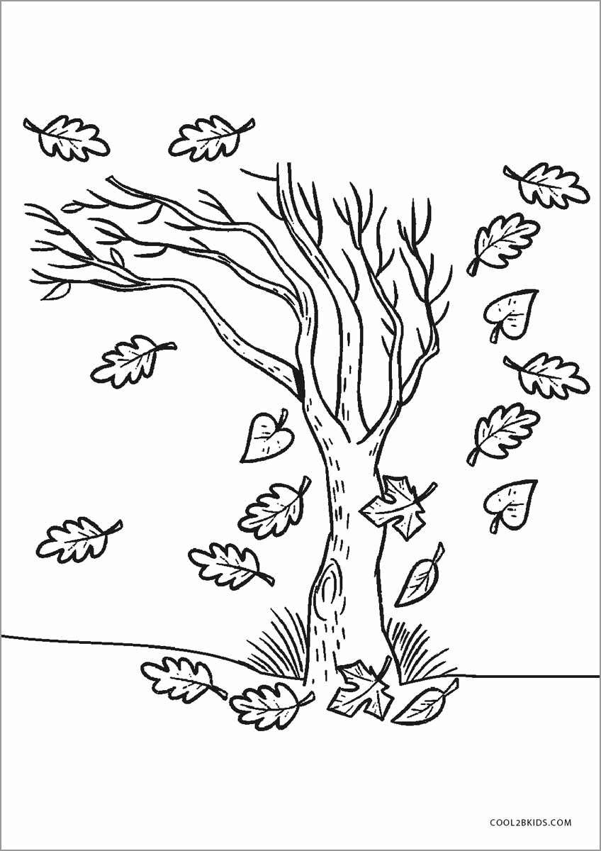 Autumn Coloring Page For Kids ColoringBay