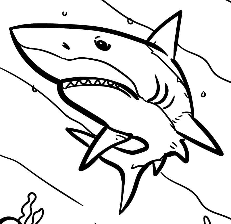 Shark Color Page