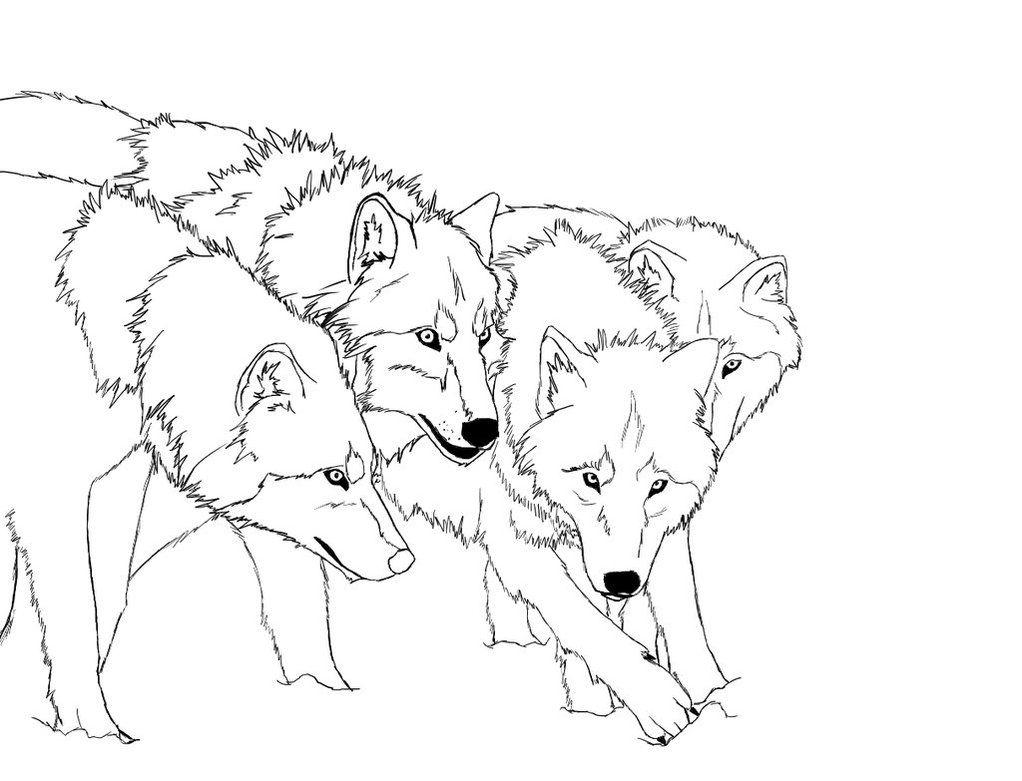 Baby Wolves Coloring Pages Coloring Home