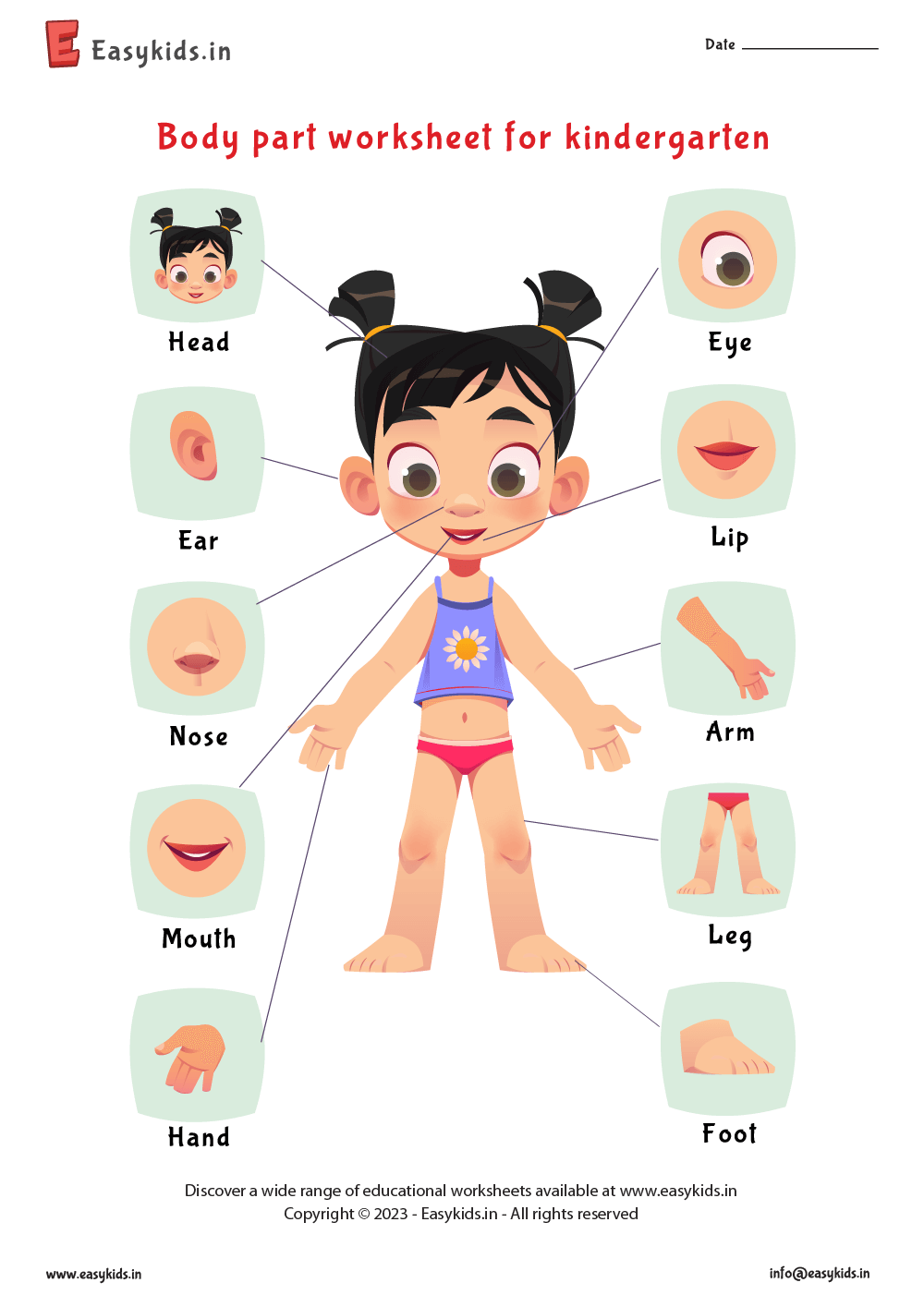 body parts worksheet printable pdf free