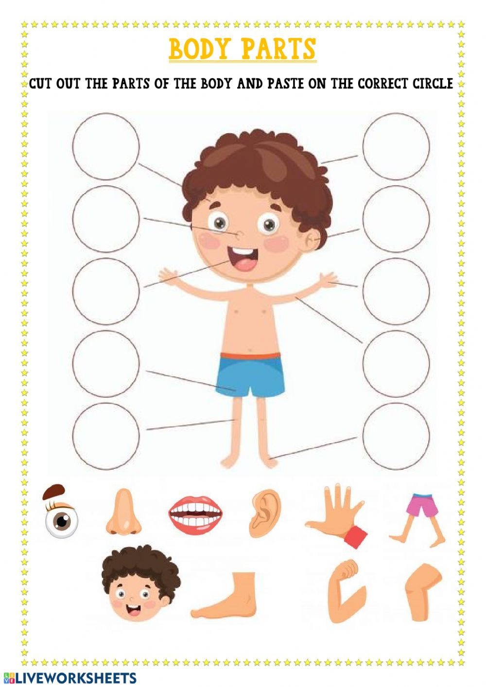 body parts worksheet printable pdf