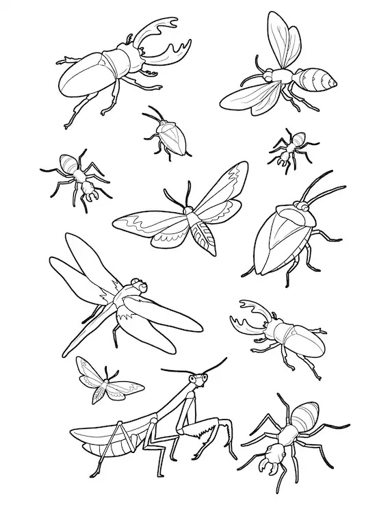Bug Insect Coloring Pages Coloring Book 6000 Coloring Pages