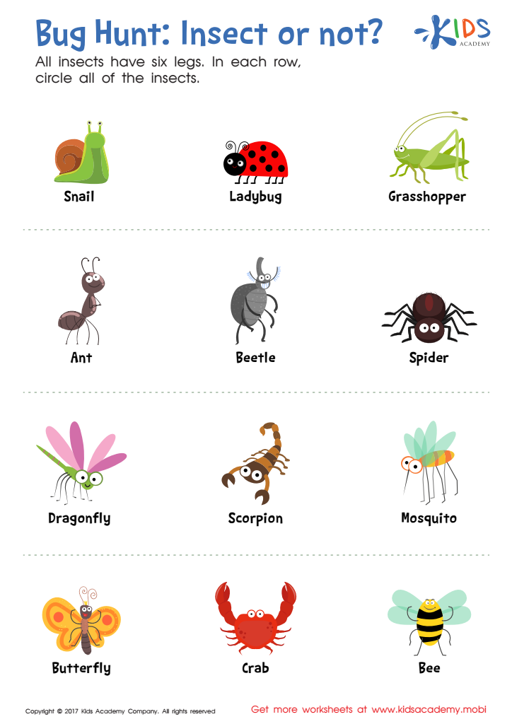 preschool insects worksheets for kindergarten