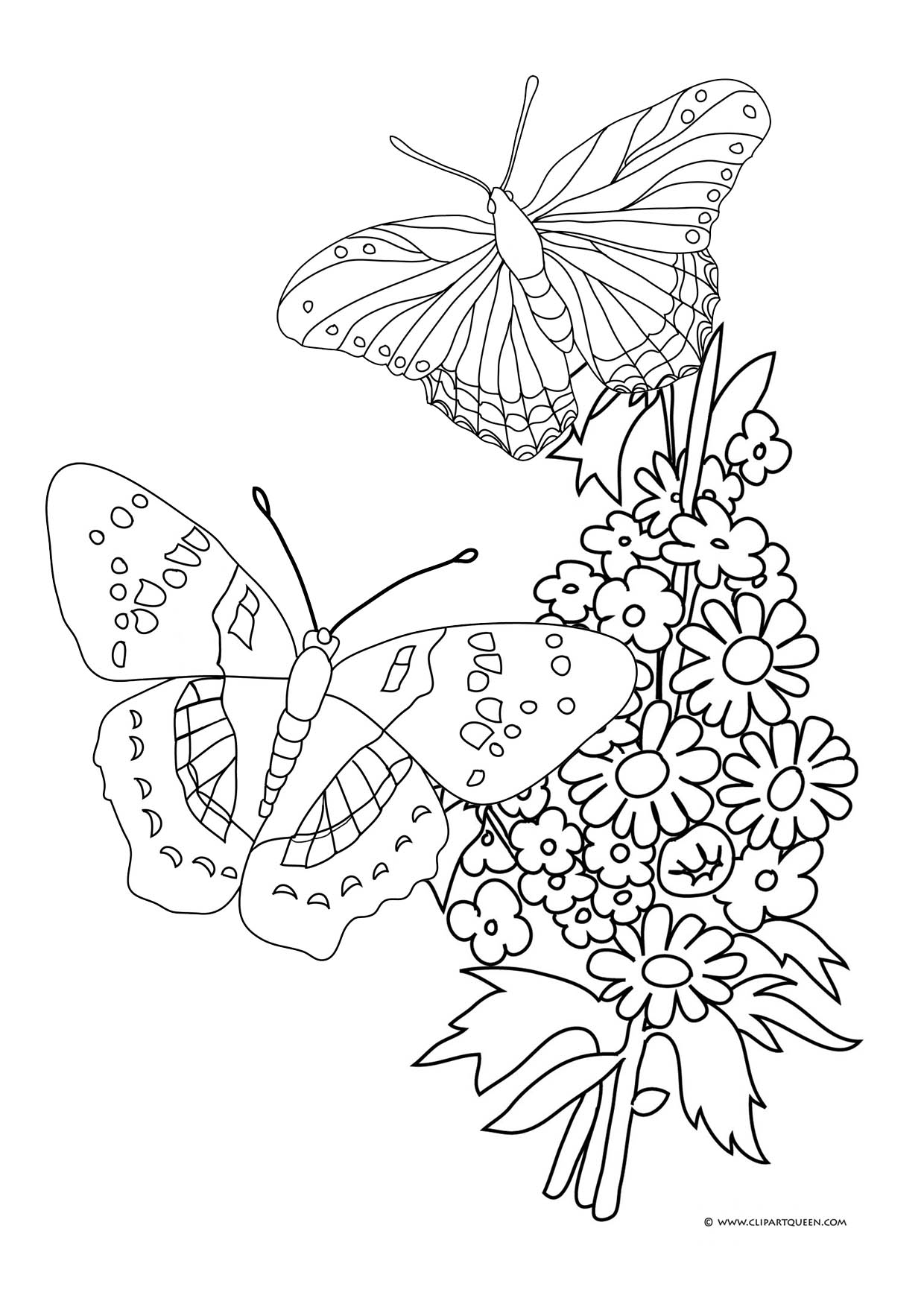 Butterfly With Flowers Coloring Pages