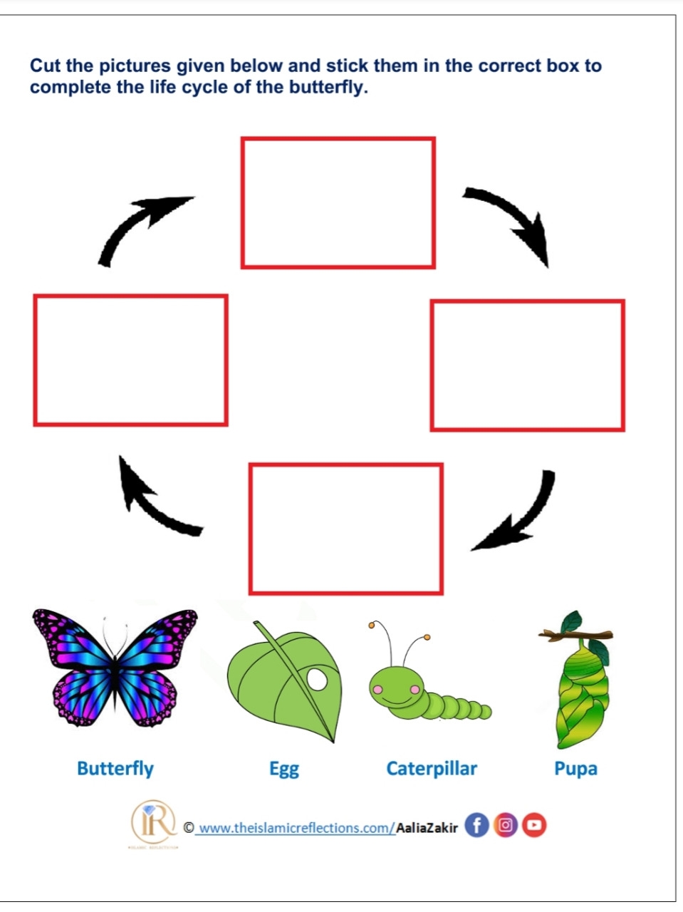 Butterfly Life Cycle Worksheet Pro Worksheet