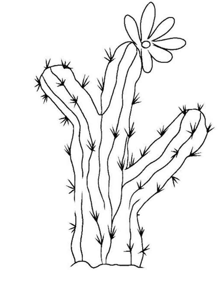 Cactus Coloring Pages
