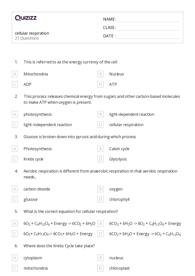 cell respiration worksheet