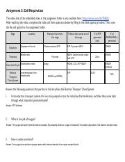 Cellular Respiration Worksheet pdf Assignment 5 Cell 