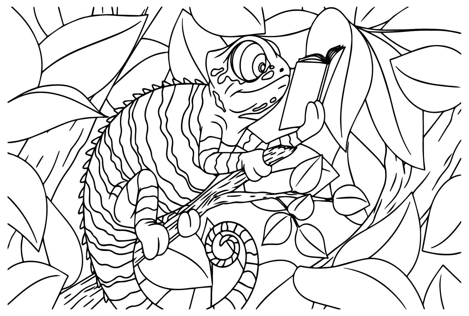 Chameleon Coloring Free Printable Coloring Pages