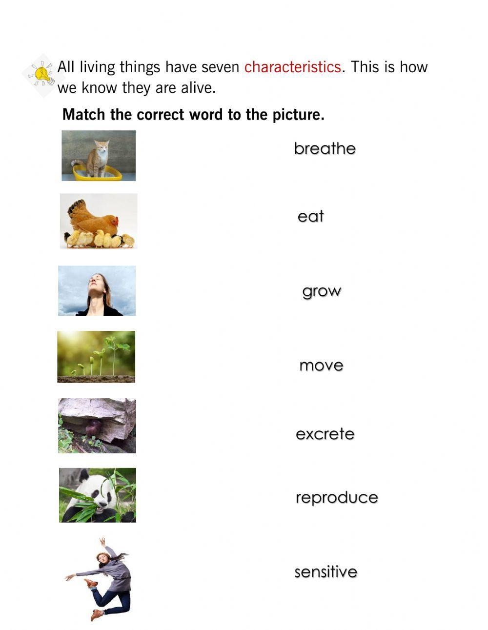 Characteristics Of Living Things Worksheet Live Worksheets 