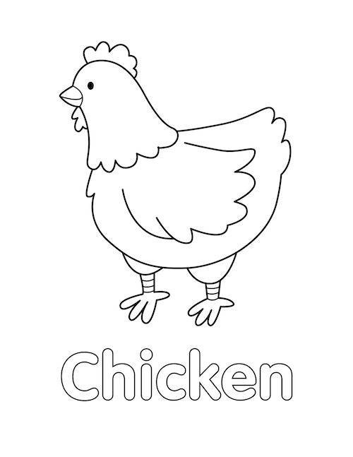 Chicken Coloring Page Little Bee Family