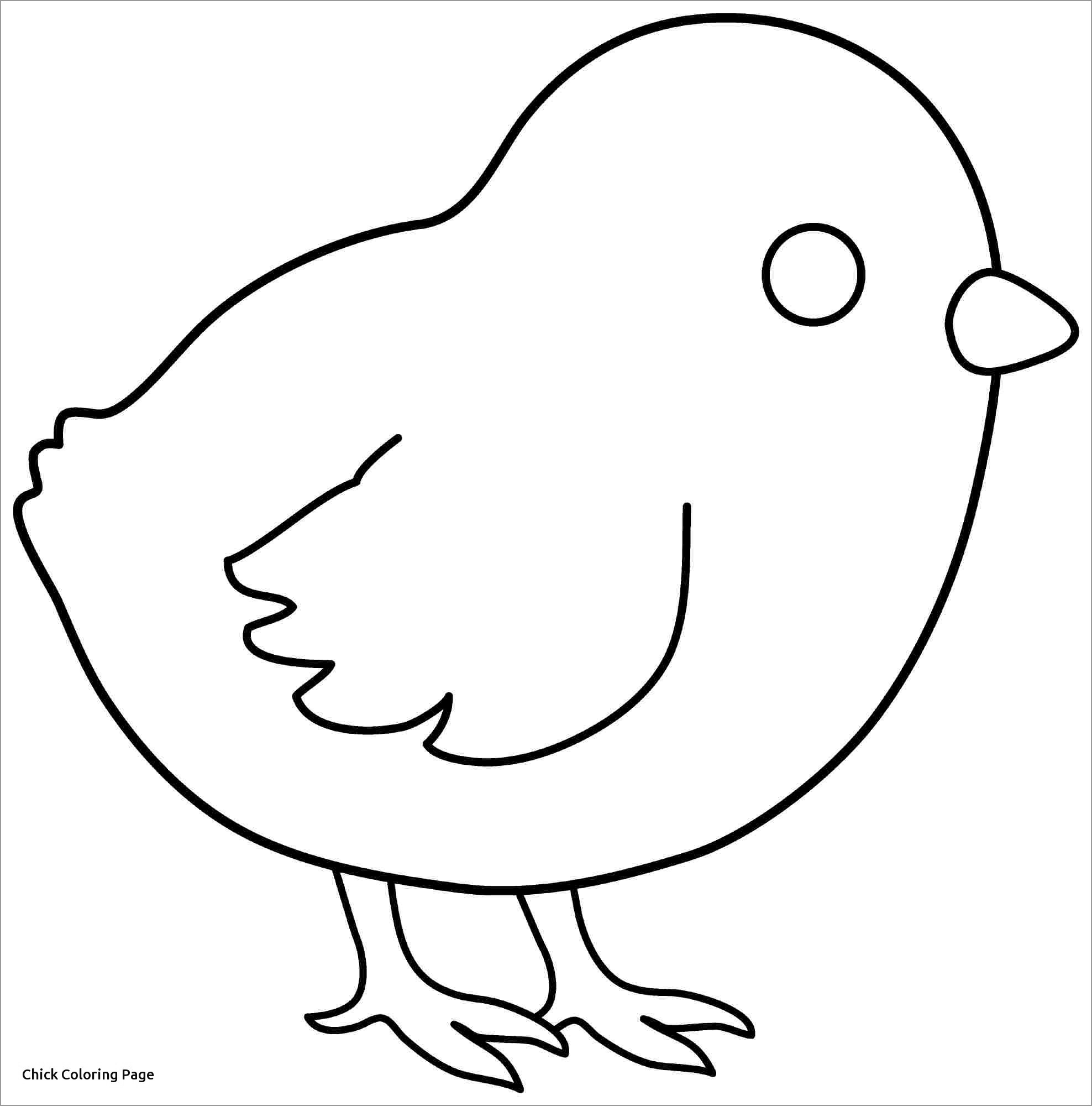 Chicken Coloring Pages ColoringBay