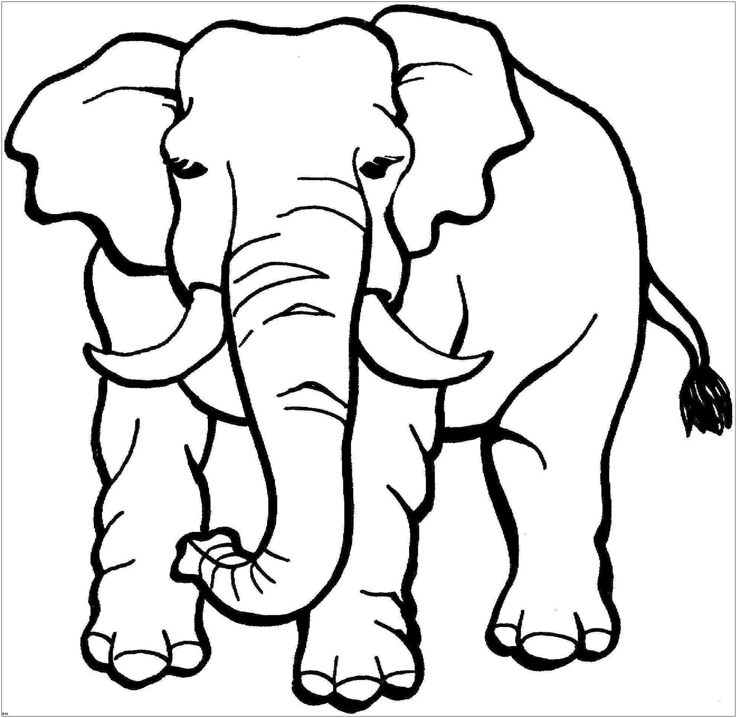 Coloring Pages Elephants For Kids Elephant Coloring To Download For 