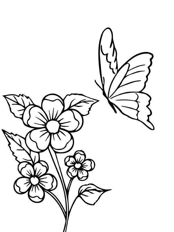 Coloring Pages Flowers And Butterflies Butterflies Homecolor