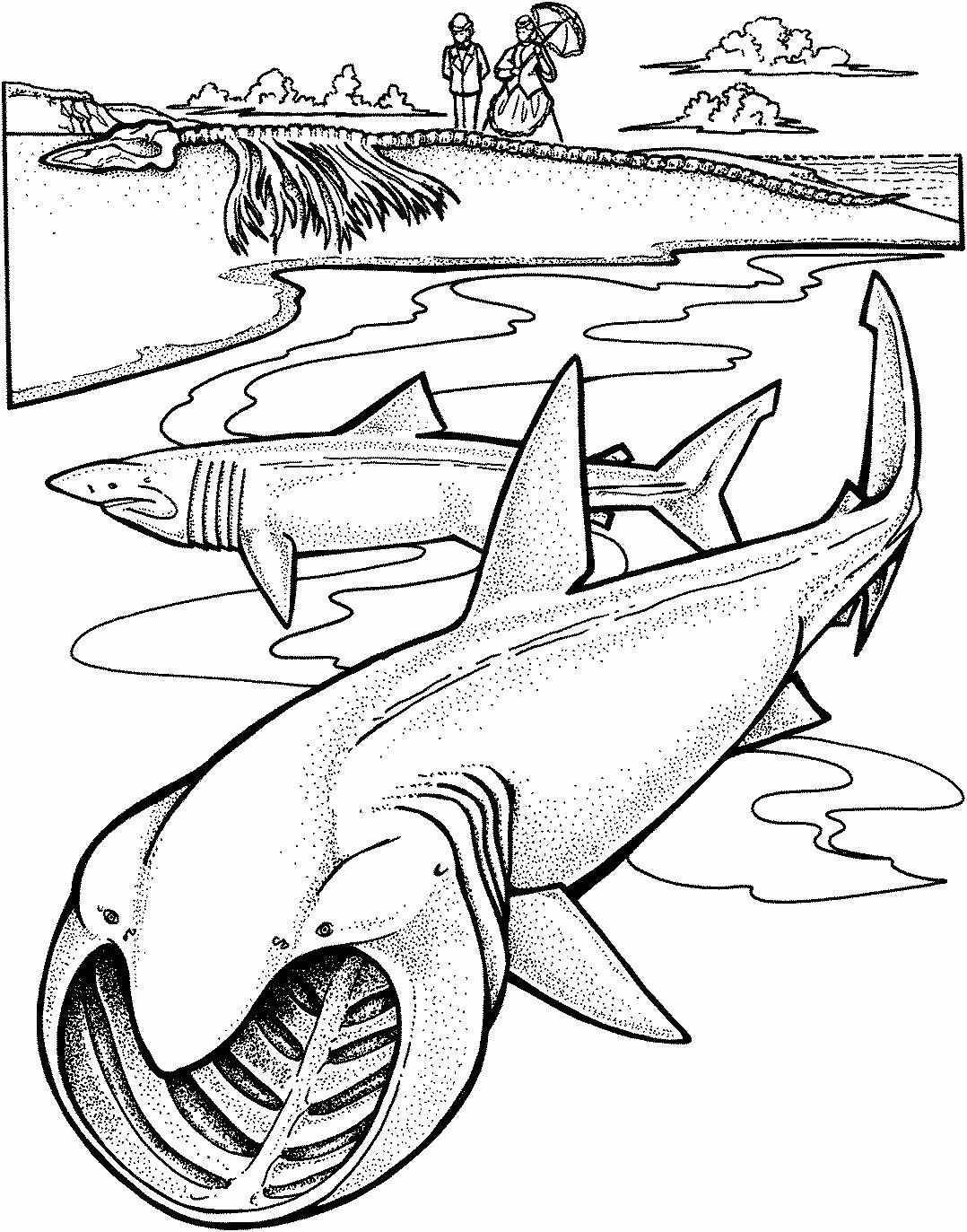free coloring pages sharks