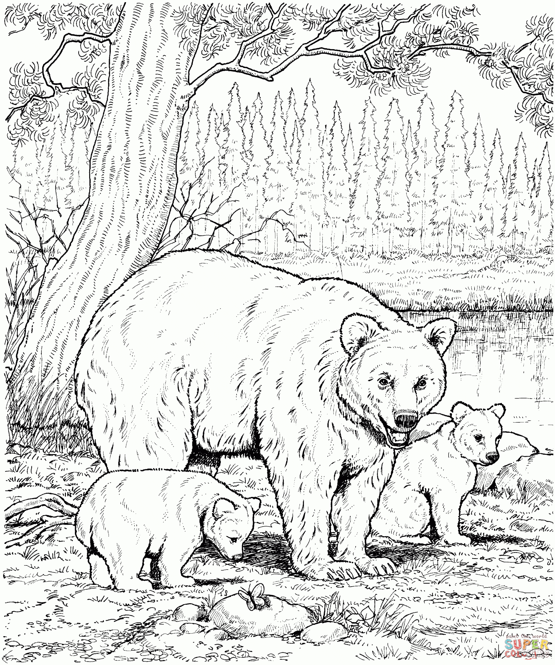 Coloring Woodland Animal Coloring Pages Image Inspirations Free 