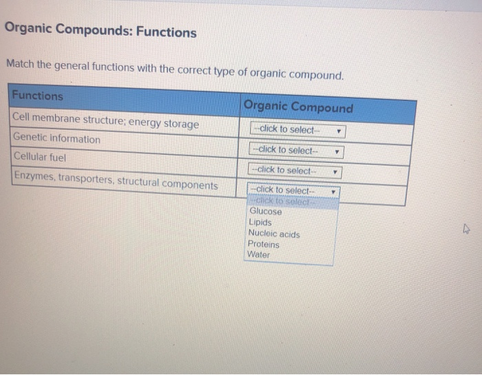 compound functions worksheet
