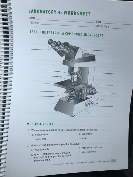 Compound Light Microscope Parts And Functions Worksheet Infoupdate