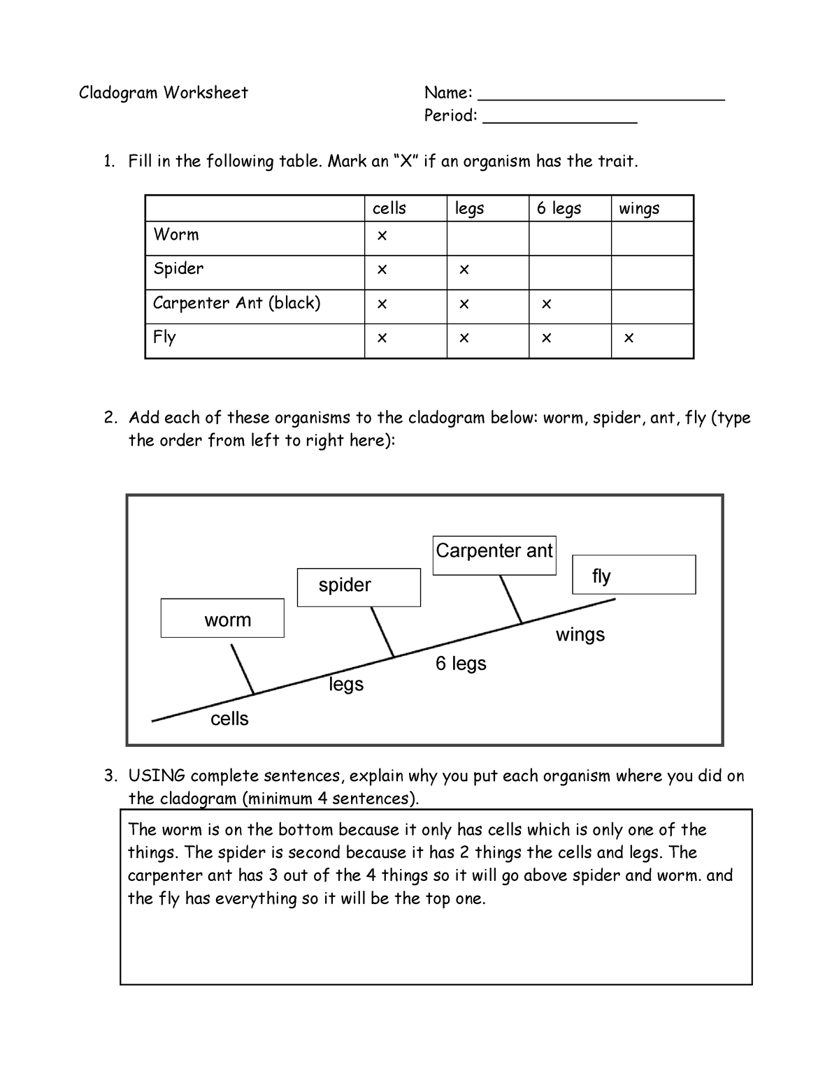 cladogram worksheet answers
