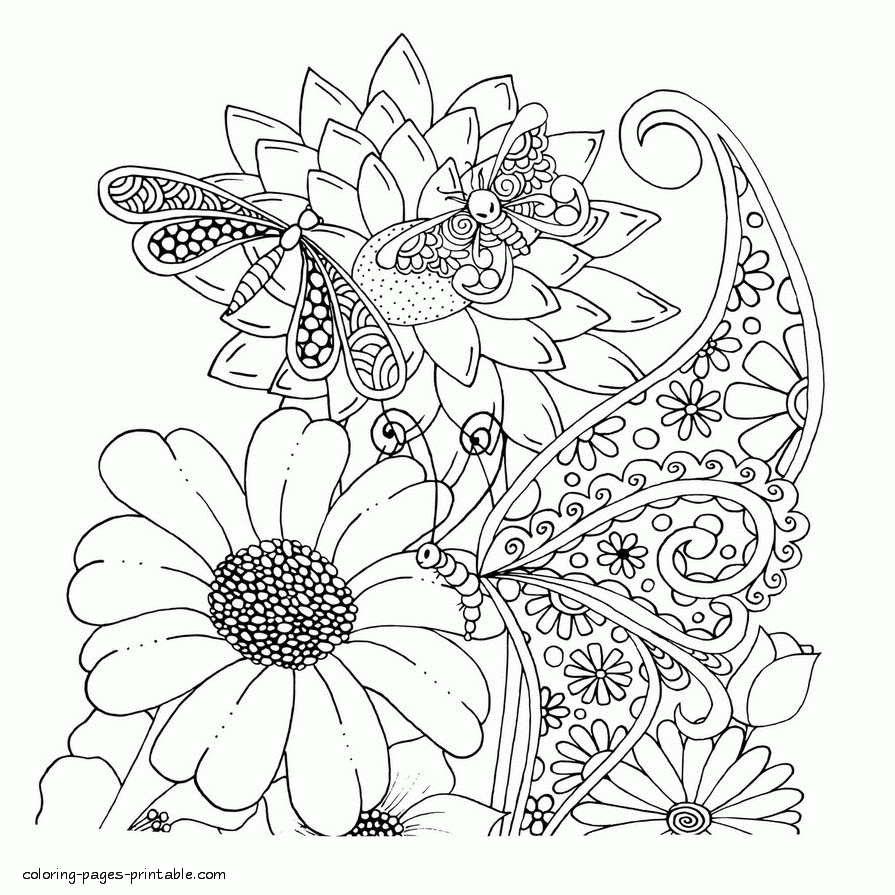 Butterfly Coloring Pages For Adults