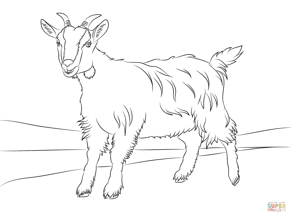 Cute Goat Coloring Pages Coloring Home
