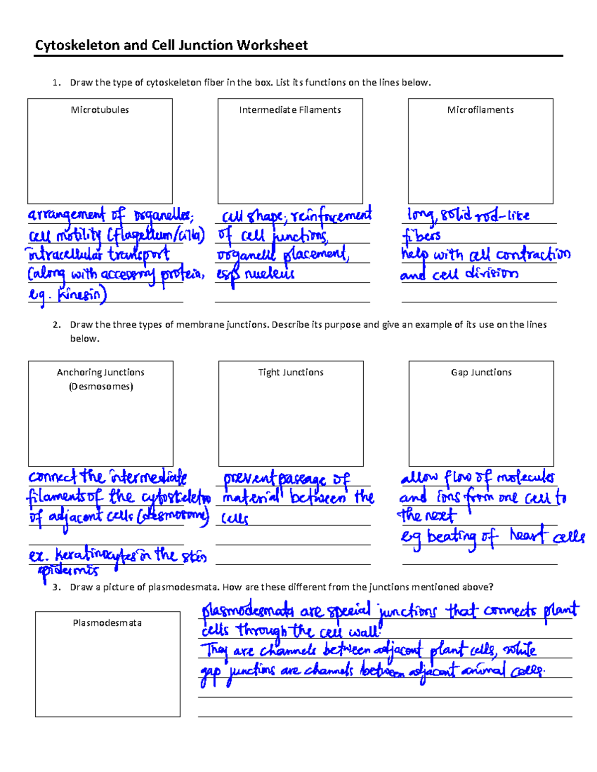 Cytolysis And Cytoplasm Worksheet Quiz Worksheet