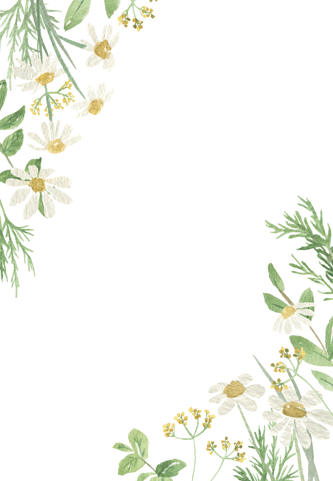 Daisy Invitation Template