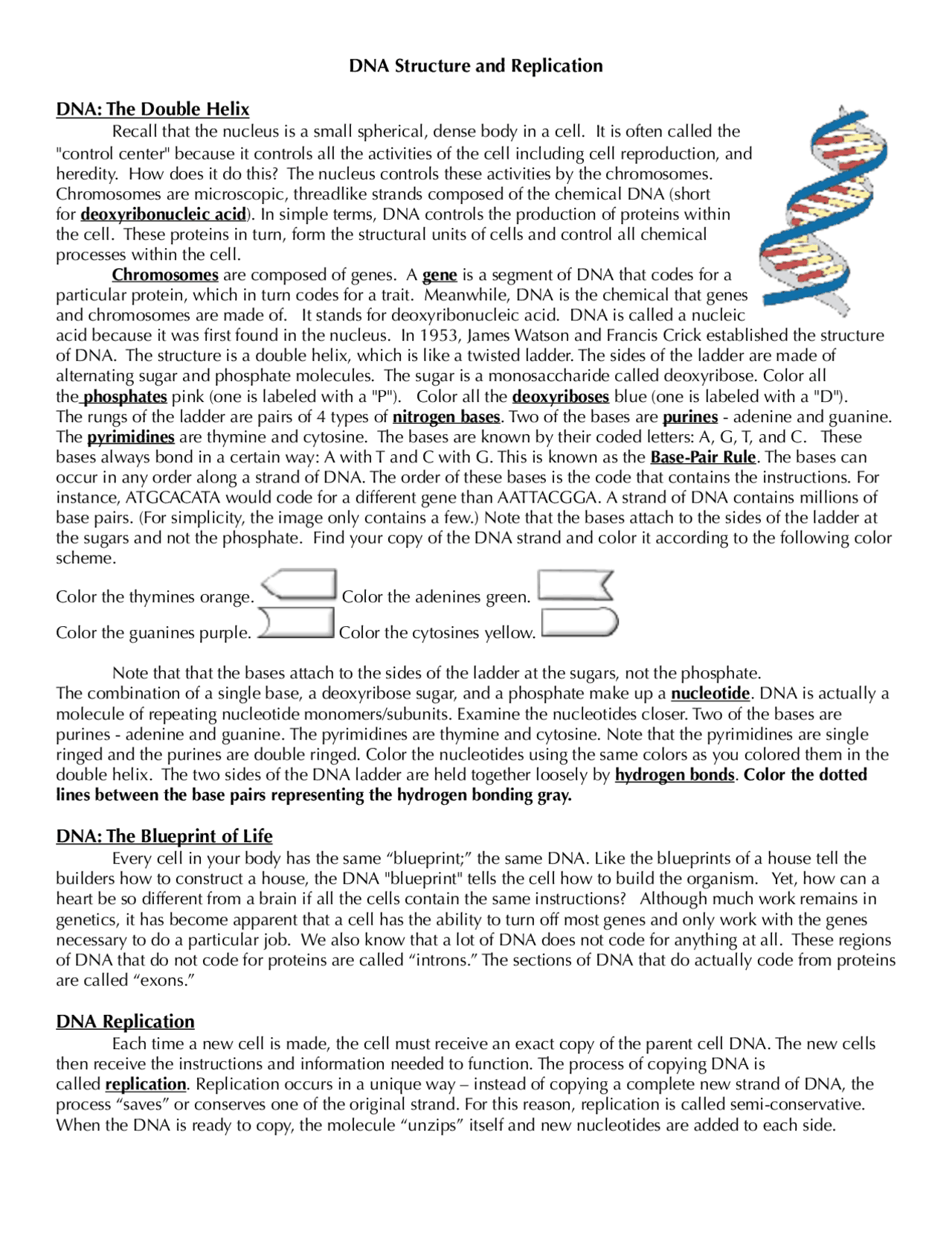DNA Structure And Replication Worksheet Lecture Notes Genetics 