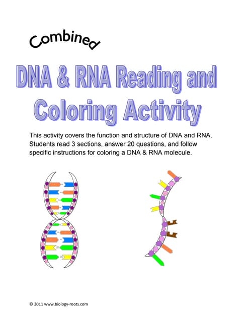 DNA Structure Coloring Activity teacher Made Twinkl Worksheets 