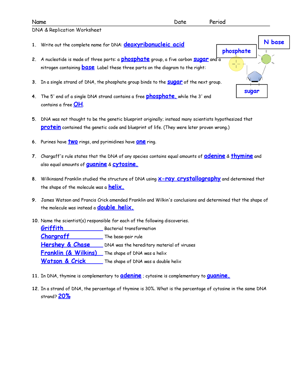 Dna Worksheet PDF Dna Cell Biology Worksheets Library