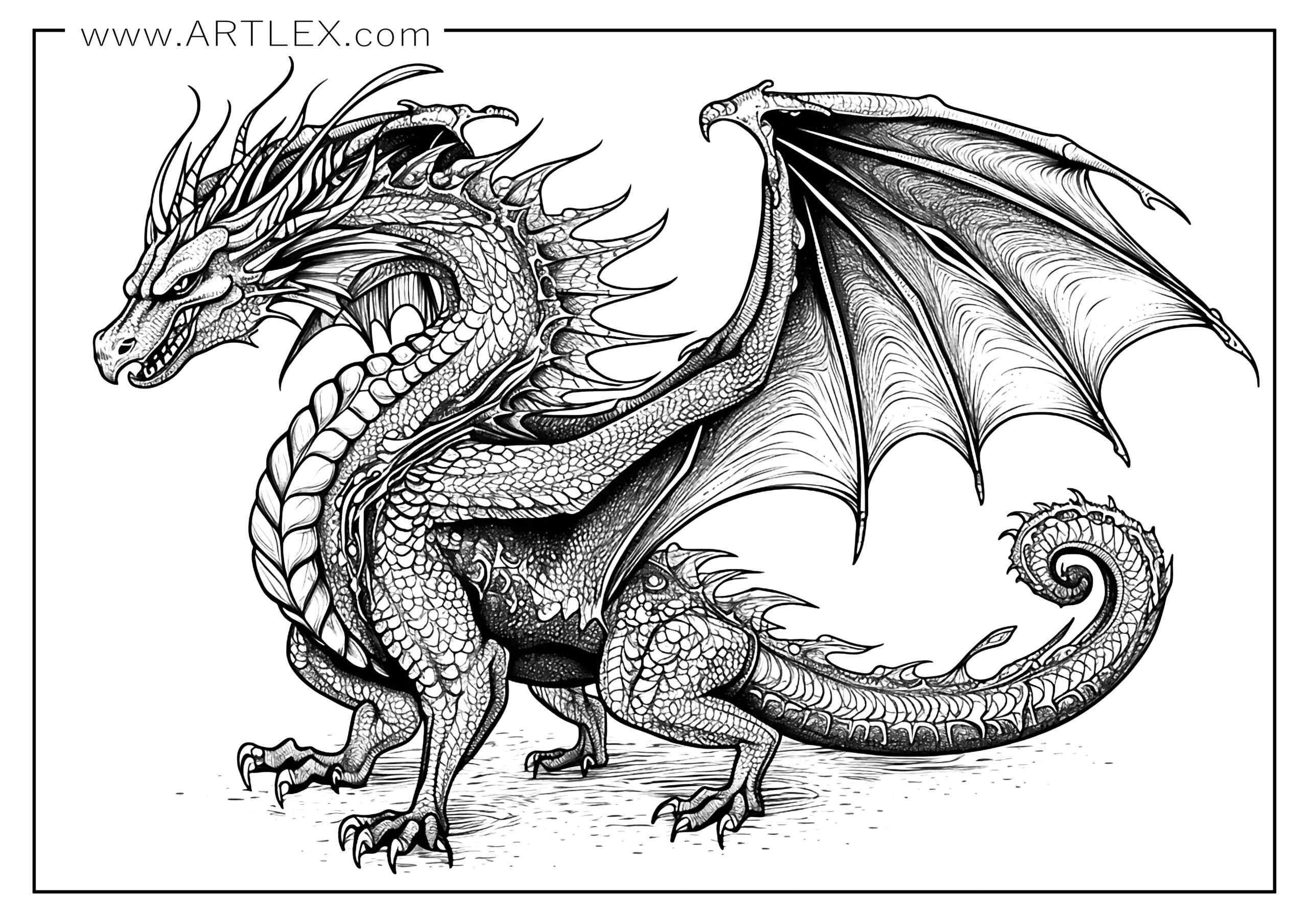Free Dragon Coloring Pages