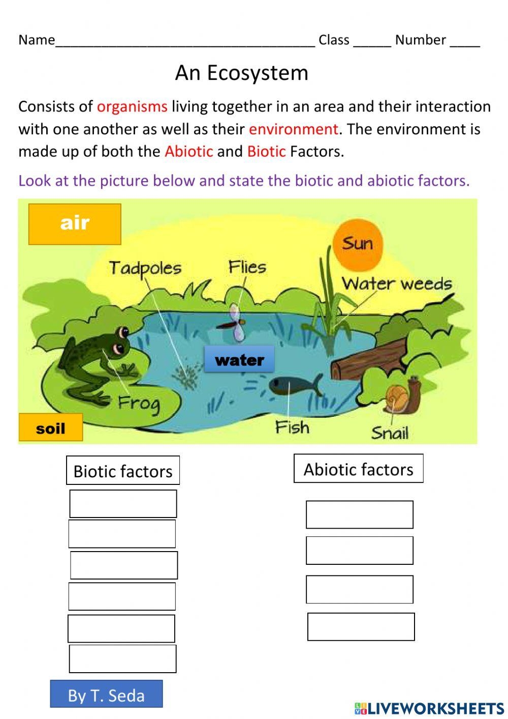 Ecosystem Grade 5 Online Exercise For Live Worksheets Worksheets 