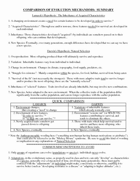 Evidence Of Evolution Worksheet Inspirational Evidence Evolution