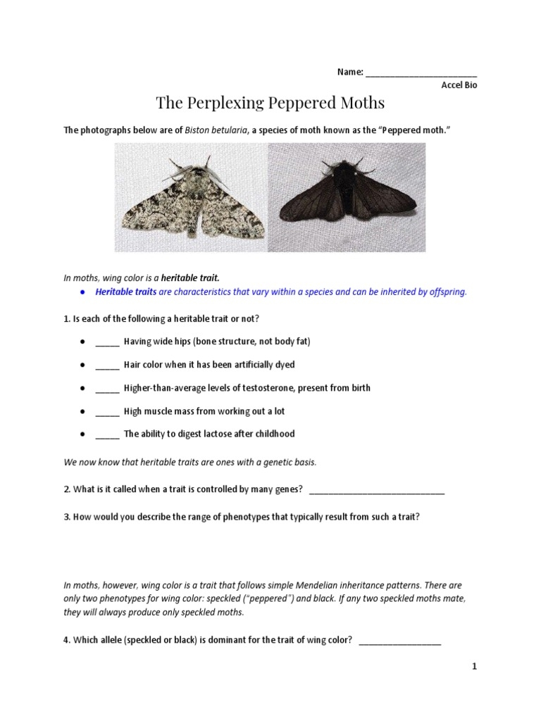 Evolution Inquiry Peppered Moths Download Free PDF Heredity 